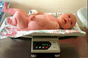 Przeciętny, zdrowy noworodek waży ok. 3,5 kg. Rekordzistka urodzona w szpitalu na Zaspie waży o 100 proc. więcej. Wagę ok. 4,5 kg (nz.) niemowlę osiąga miesiąc po narodzinach. 