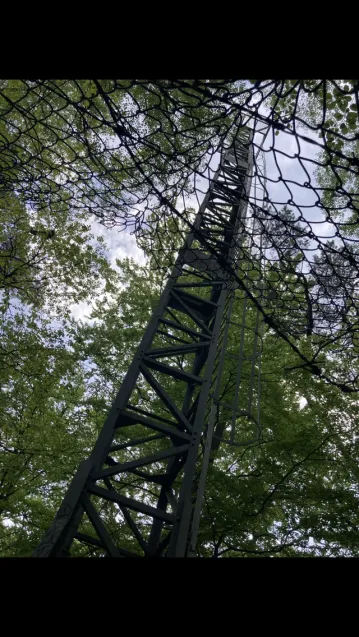 Wieża na Rysim Wzgórzu w Sopocie ma już niemal 60 lat. Jeden z mieszkańców miasta zasugerował, że powinna ją zastąpić nowa wieża widokowa.