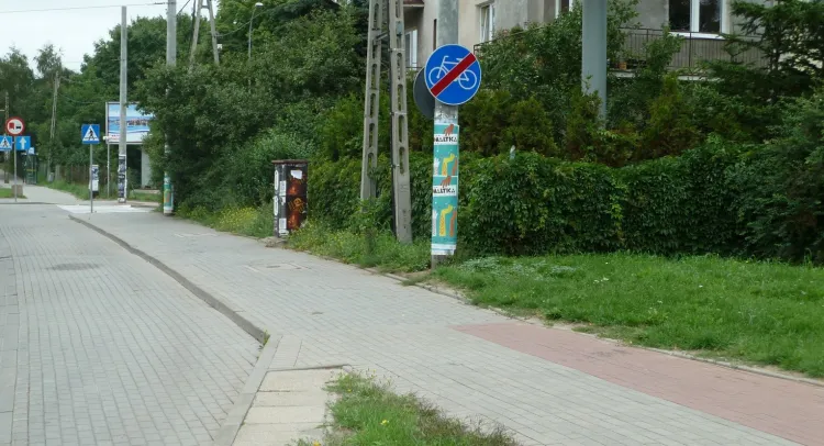 W sprawie dróg rowerowych w Gdyni jest jeszcze dużo do zrobienia.