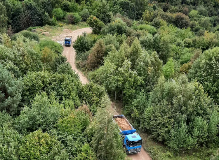 Obciążone ciężarówki na leśnej drodze gruntowej zauważone przez naszego czytelnika. 