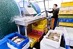 Certyfikowane połowy bałtyckiej storni, gładzicy i turbota realizowane są w sposób odpowiedzialny, w oparciu o metody, które nie naruszają kondycji dzikich populacji ryb oraz nie mają negatywnego wpływu na ekosystem morski.