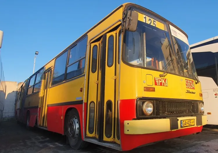W niedzielę, 10 października, 40. rocznica wprowadzenia ikarusów w komunikacji miejskiej w Gdyni. Z tej okazji trzy zabytkowe autobusy będą kursować na linii 150, w godzinach 11-17.