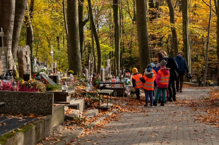 Wycieczka przedszkolaków na sopockim cmentarzu.