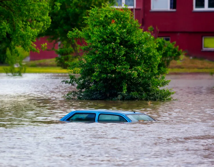 Samochody po powodziach i podtopieniach to łakome kąski dla nieuczciwych handlarzy. 