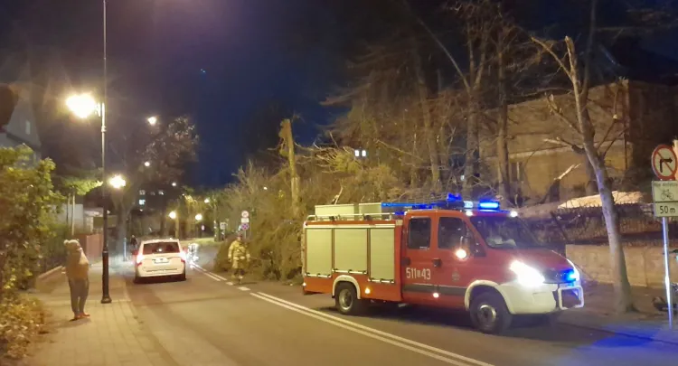 Najwięcej pracy strażacy mieli z powodu drzew, które spadały na ulice. Na zdjęciu ul. Malczewskiego w Sopocie.