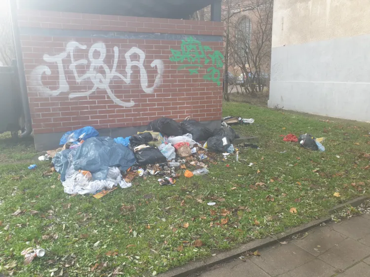 Tak przez dłuższy czas wyglądała wiata śmietnikowa przy ul. Mniszki w centrum Gdańska. Śmieci posprzątano po interwencji menedżer śródmieścia.