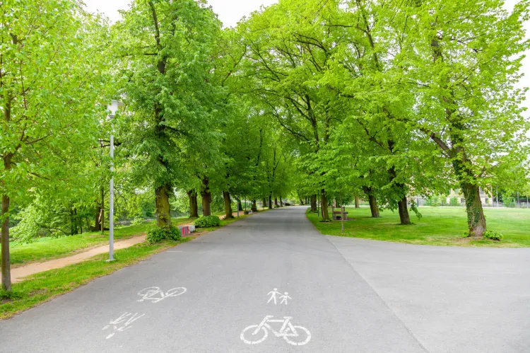 Według treści nowego rozporządzenia na drodze pieszo-rowerowej rowerzysta ma poruszać się... z prędkością zbliżoną do prędkości pieszego.