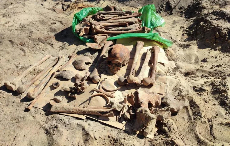 Kości odnalezione na Stogach pochodzą z czasów II wojny światowej.