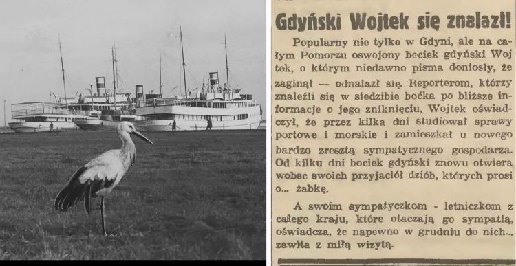 Po lewej stronie bocian w gdyńskim porcie i statki żeglugi przybrzeżnej stojące przy nabrzeżu. Nie udało nam się potwierdzić, czy zdjęcie przedstawia bohatera artykułu, ale w Archiwum Narodowego Cyfrowego opisano je jako wykonane w 1936 r. w Gdyni.