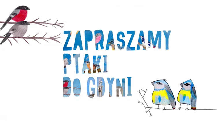 Książkę "Zapraszamy ptaki do Gdyni" ilustrują nagrodzone w konkursie prace dzieci.