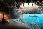 Kolejna atrakcja Nautilusa, basen w jaskini z widokiem na akwarium z rekinami.

