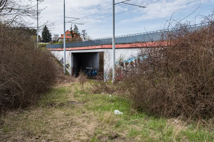 Zapomniany wiadukt na al. Armii Krajowej, pod którym planowano puścić linię tramwajową do ul. Kartuskiej. 