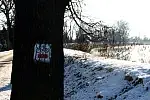 Przez ul. Olszyńską, nieopodal dworu przebiega rowerowy szlak Motławski, który wiedzie przez Żuławy Gdańskie do Tczewa.