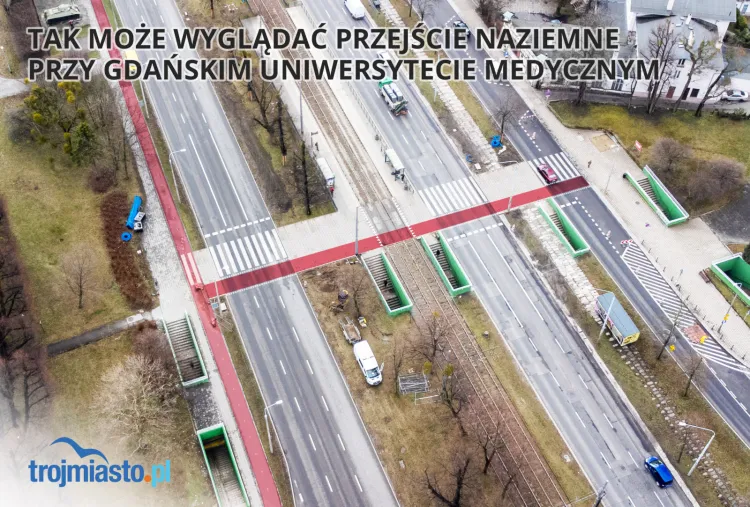 Tak może wyglądać naziemne przejście dla pieszych przez al. Zwycięstwa i Trakt Konny.