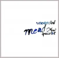 Meadow Quartet - Unexpected