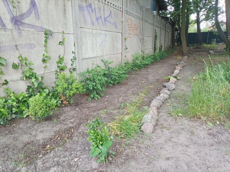 Cmentarz na Ujeścisku to zielone miejsce, docelowo ma się zamienić w Niebiański Ogród.