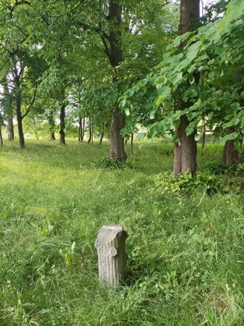 Cmentarz na Ujeścisku to zielone miejsce, docelowo ma się zamienić w Niebiański Ogród.