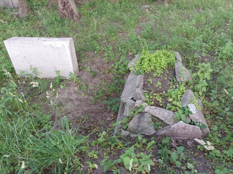 Cmentarz na Ujeścisku to zielone miejsce, docelowo ma się zamienić w Niebiański Ogród.