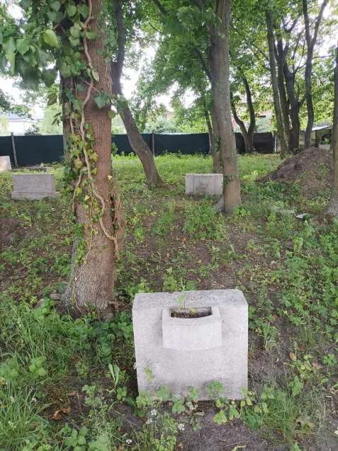 Cmentarz na Ujeścisku to zielone miejsce, docelowo ma się zamienić w Niebiański Ogród.