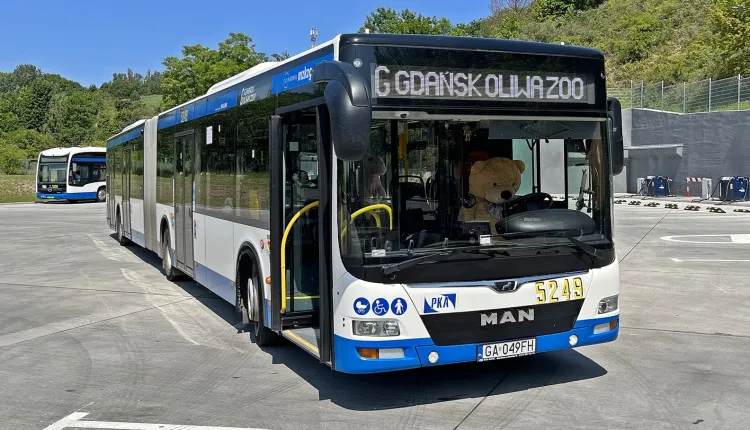 Autobus z Gdyni do zoo po raz pierwszy wyjedzie w sobotę, 25 czerwca.