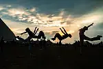 Drugi dzień Open'er Festival 