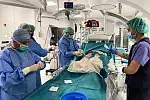 W centrum odbyły się pierwsze trzy operacje kardiochirurgiczne na ultranowoczesnej sali hybrydowej.