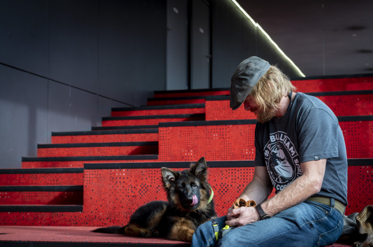 Eryk Lubos i jego szczeniak w Gdyńskim Centrum Filmowym.