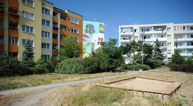Murale na Zaspie wtopiły się w krajobraz dzielnicy. Władze SM "Młyniec" same ustalają i proponują artystom ścianę przygotowaną pod kolejną pracę.