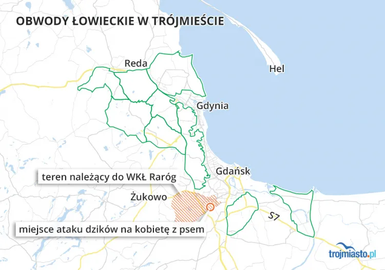 Nadleśnictwo nadzoruje gospodarkę łowiecką na terenie dziesięciu obwodów łowieckich - jest to niemal 57 tys. hektarów pól, lasów i jezior (zaznaczone na zielono). Na pomarańczowo oznaczono teren należący do Wojskowego Koła Łowieckiego Raróg.