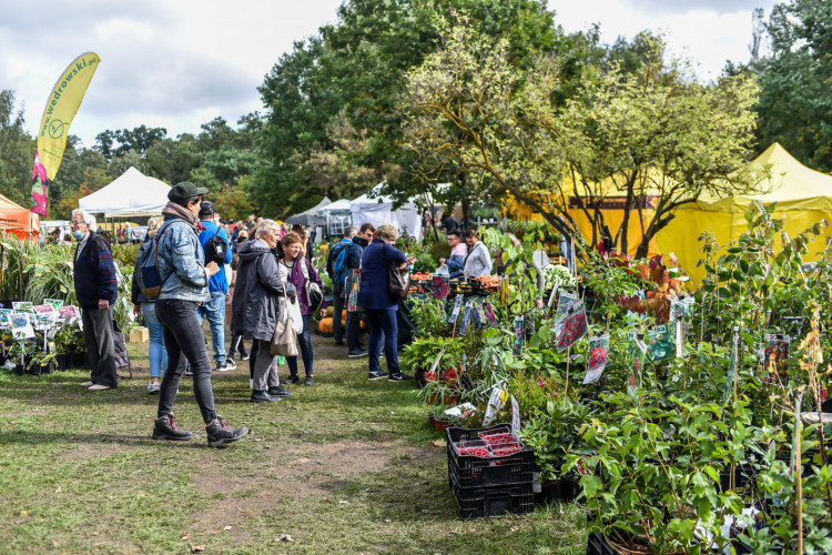 The Gifts of the Earth is an event that promotes healthy products, regional crafts and the autumn gardening offer. 
