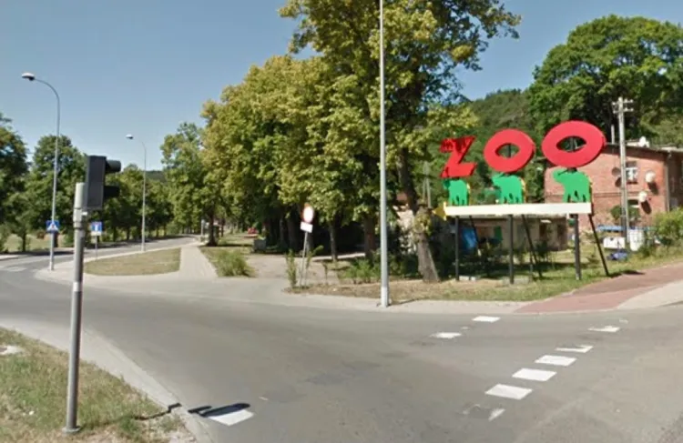 Ten drogowskaz stał przy ul. Spacerowej od lat 70-tych. Zoo musiało go usunąć, bo wspólnota mieszkaniowa zażądała opłaty za teren.