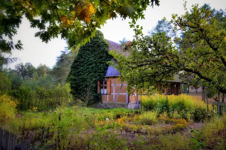 Obecnie, już ponad 100-letnie, Muzeum to 22 ha obszaru położonego nad brzegiem jeziora Gołuń zabudowanego obiektami regionalnej architektury.