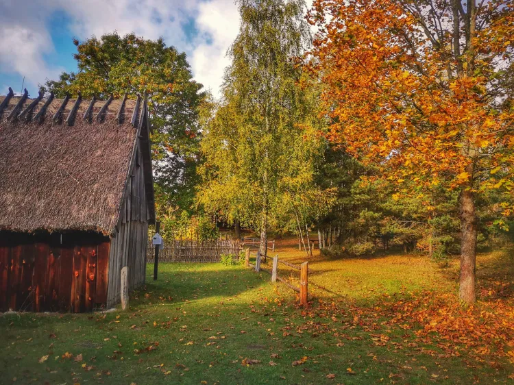 Obecnie, już ponad 100-letnie, Muzeum to 22 ha obszaru położonego nad brzegiem jeziora Gołuń zabudowanego obiektami regionalnej architektury.