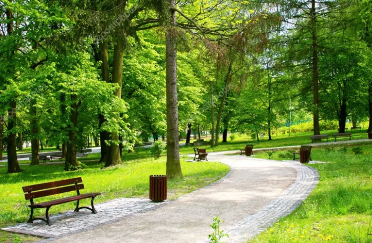 Jeden ze zwycięskich projektów "zielonych" ogólnomiejskich zakłada utworzenie Zielonego serca dzielnicy: Piecki Migowo, Chełm, Orunia Górna. 