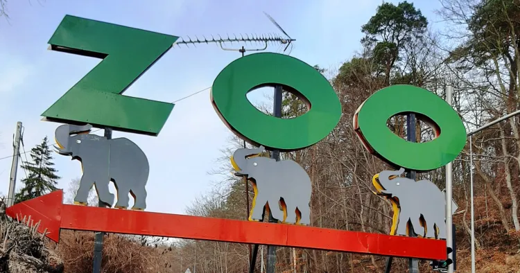 Zoo zdecydowało, że odtworzy ten historyczny znak. Co prawda w głosowaniu na Facebooku zdobył 1,2 tys. punktów i zajął trzecie miejsce, ale to głosowanie zostało zmanipulowane.