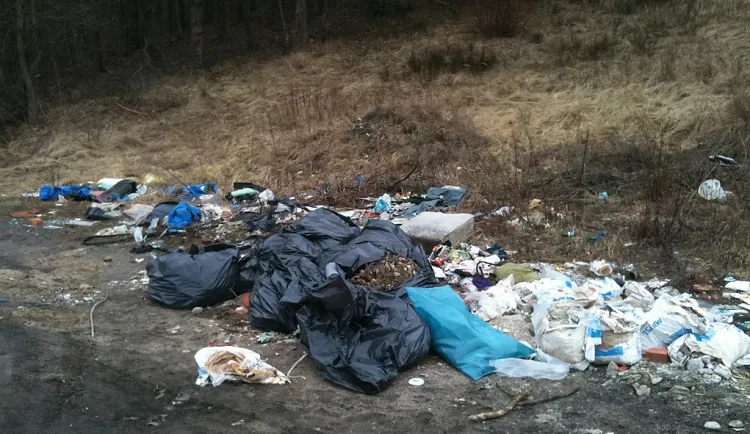 Jedno z wielu nielegalnych wysypisk śmieci w Gdańsku.