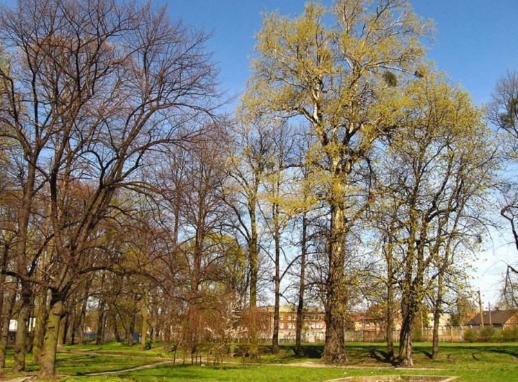 Park Schopenhauera znajduje się pomiędzy Traktem św. Wojciecha, przystankiem kolejowym na Oruni oraz ul. Dworcową.