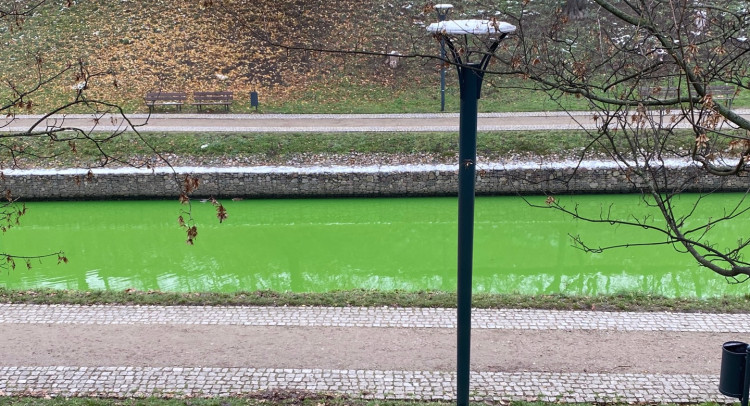 Intensywnie zielony odcień wody niepokoi niektórych spacerowiczów.