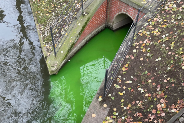 Zielona woda może jeszcze przez kilka dni pojawiać się w Gdańsku.