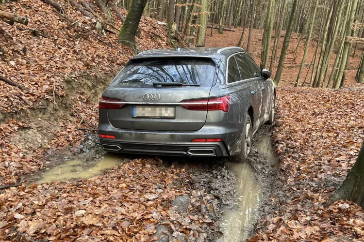 Audi utknęło w lesie. Kierowcy grozi do 500 zł mandatu.