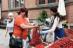Zakupy z powodzeniem można robić bez używania foliówek i woreczków.