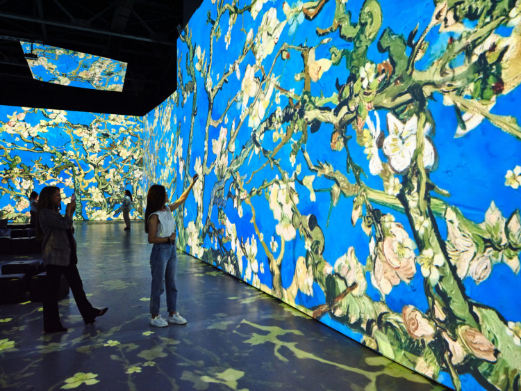 Prace Van Gogha zaprezentowane będą dzięki technologii Digital Art 360. W specjalnie zaaranżowanej przestrzeni ekspozycyjnej na ekranach o powierzchni ponad 2000 m kw. będzie można zobaczyć setki wyświetlanych dzieł.