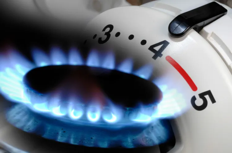 Ustawa wprowadza m.in. "dodatek gazowy", czyli refundację VAT dla gospodarstw domowych, które jako główne źródło ciepła wykorzystują piec gazowy.