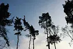 Willa na wzgórzu Gdynia-Działki Leśne