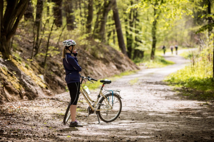 W ramach inwestycji wyremontowano prawie 10 km leśnych dróg rowerowych na terenie Sopotu. Zdjęcie poglądowe.