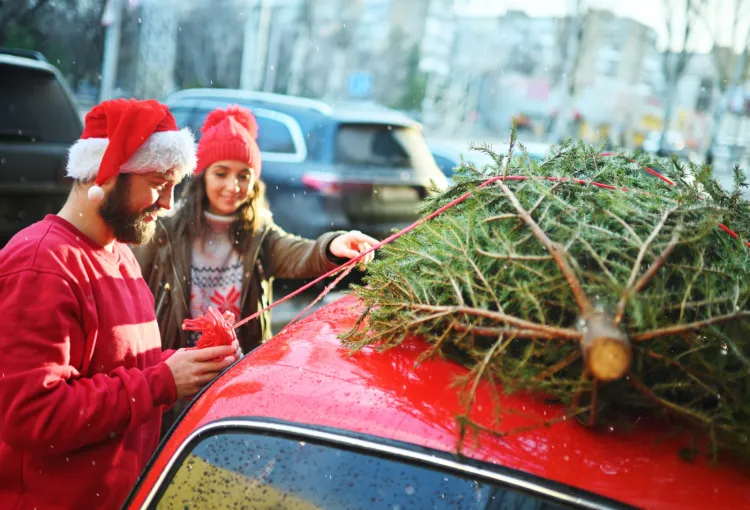 Można przewozić świąteczne drzewko na dachu, ale trzeba trzymać się pewnych zasad.