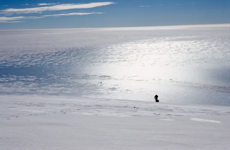 Samotna wyprawa Marka Kamińskiego na biegun południowy. Polarnik osiągnął cel 27 grudnia 1995 r.