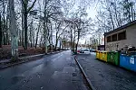 Ulica Norblina z licznymi ubytkami w szpalerach drzew