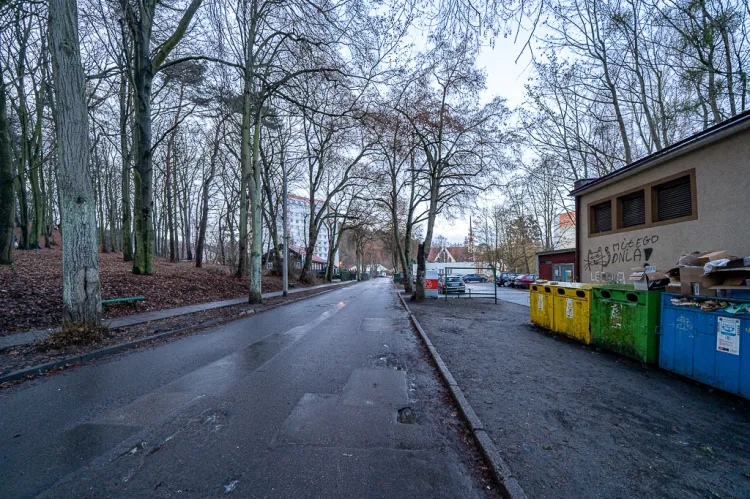 Ulica Norblina z licznymi ubytkami w szpalerach drzew
