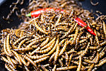 Odbywające się w weekend festiwale to okazja, aby spróbować popularnych, ale i mniej znanych azjatyckich dań. Spore zainteresowanie wzbudza m.in. stoisko z jadalnymi robakami.